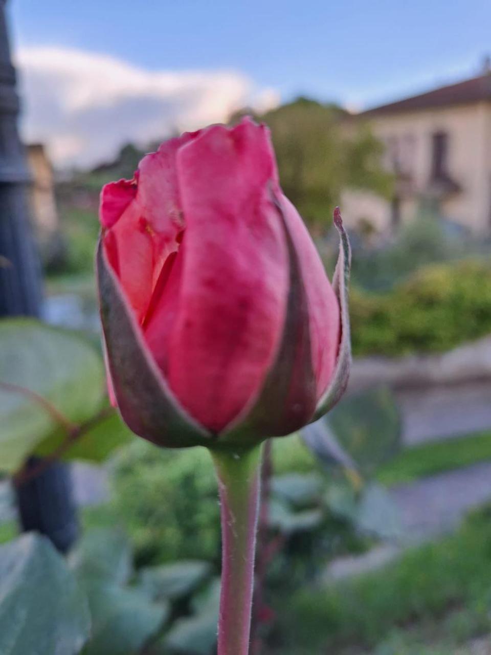 B&B Le Rose Di Paola Санта-Мария-а-Монте Экстерьер фото